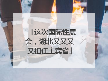 这次国际性展会，湖北又又又又担任主宾省