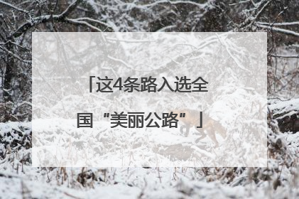 这4条路入选全国“美丽公路”