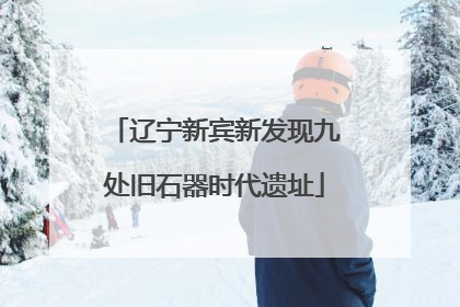 辽宁新宾新发现九处旧石器时代遗址