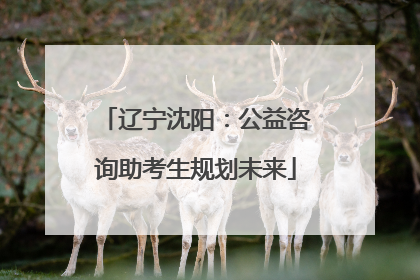 辽宁沈阳：公益咨询助考生规划未来