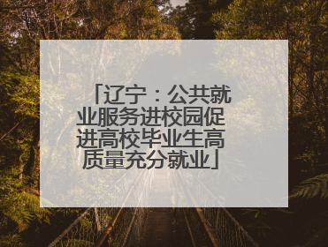 辽宁：公共就业服务进校园促进高校毕业生高质量充分就业