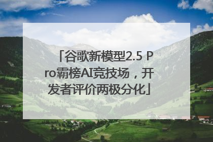 谷歌新模型2.5 Pro霸榜AI竞技场，开发者评价两极分化