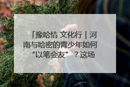 豫哈情 文化行｜河南与哈密的青少年如何 “以笔会友”？这场书画展藏着答案