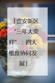 贵安新区“三年大变样”：四大维度协同发展