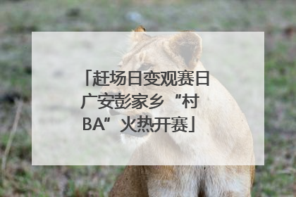 赶场日变观赛日 广安彭家乡“村BA”火热开赛