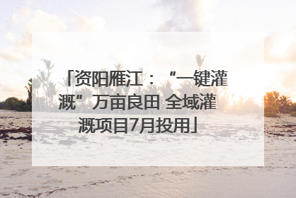 资阳雁江：“一键灌溉”万亩良田 全域灌溉项目7月投用