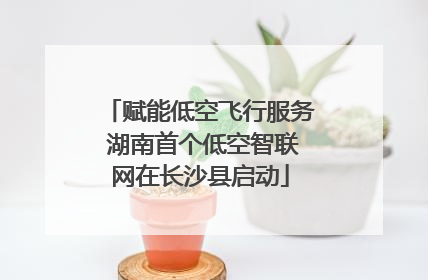 赋能低空飞行服务 湖南首个低空智联网在长沙县启动