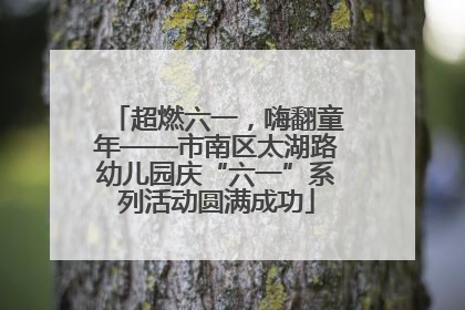 超燃六一，嗨翻童年——市南区太湖路幼儿园庆“六一”系列活动圆满成功