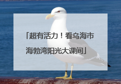 超有活力！看乌海市海勃湾阳光大课间