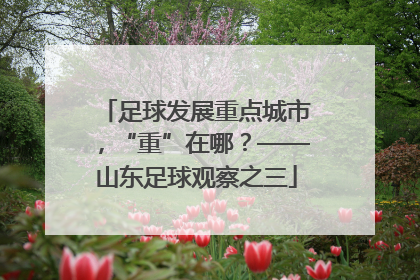 足球发展重点城市，“重”在哪？——山东足球观察之三