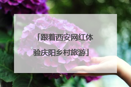 跟着西安网红体验庆阳乡村旅游