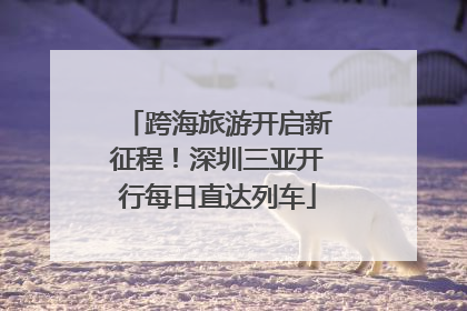 跨海旅游开启新征程！深圳三亚开行每日直达列车