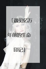 遇见亿万年前的生命印记