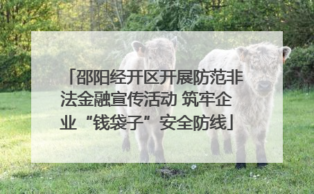 邵阳经开区开展防范非法金融宣传活动 筑牢企业“钱袋子”安全防线