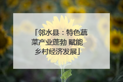 邻水县：特色蔬菜产业蓬勃 赋能乡村经济发展