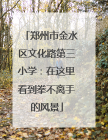 郑州市金水区文化路第三小学：在这里看到拳不离手的风景