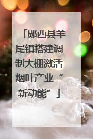 郧西县羊尾镇搭建调制大棚激活烟叶产业“新动能”
