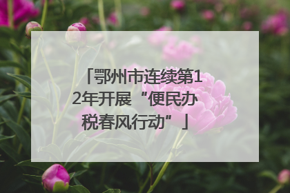 鄂州市连续第12年开展“便民办税春风行动”