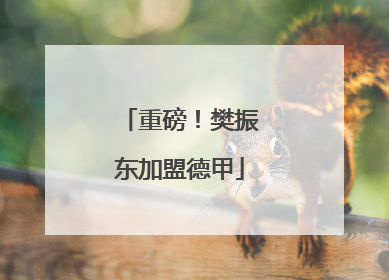 重磅！樊振东加盟德甲