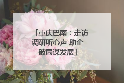 重庆巴南：走访调研听心声 助企破局谋发展