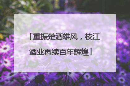 重振楚酒雄风，枝江酒业再续百年辉煌