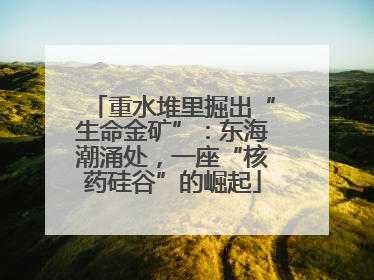 重水堆里掘出“生命金矿”：东海潮涌处，一座“核药硅谷”的崛起