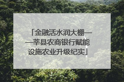 金融活水润大棚——莘县农商银行赋能设施农业升级纪实