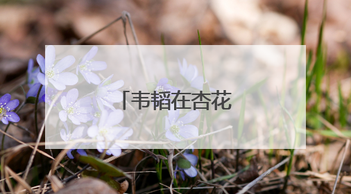 韦韬在杏花岭区调研