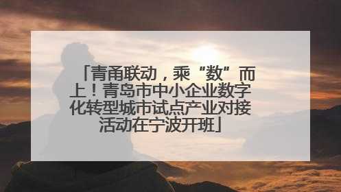 青甬联动，乘“数”而上！青岛市中小企业数字化转型城市试点产业对接活动在宁波开班