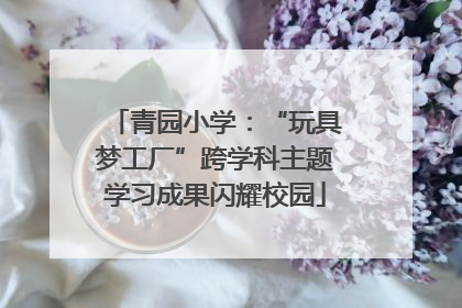 青园小学：“玩具梦工厂”跨学科主题学习成果闪耀校园