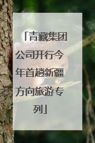 青藏集团公司开行今年首趟新疆方向旅游专列