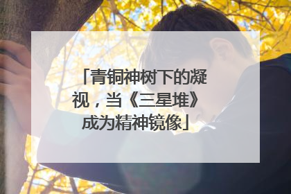 青铜神树下的凝视，当《三星堆》成为精神镜像