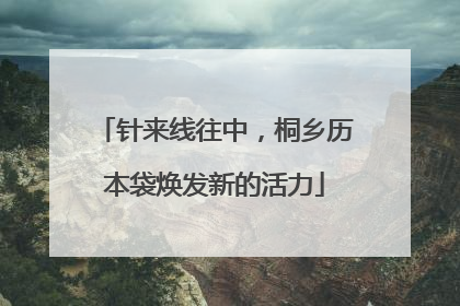 针来线往中，桐乡历本袋焕发新的活力
