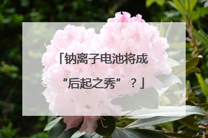 钠离子电池将成“后起之秀”？