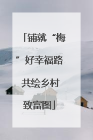 铺就“梅”好幸福路 共绘乡村致富图