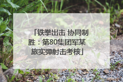 铁拳出击 协同制胜：第80集团军某旅实弹射击考核