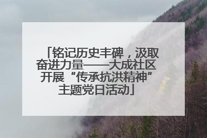 铭记历史丰碑，汲取奋进力量——大成社区开展“传承抗洪精神”主题党日活动