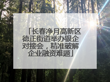 长春净月高新区德正街道举办银企对接会，精准破解企业融资难题