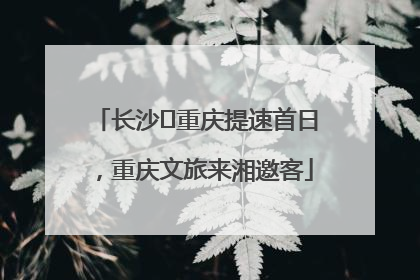 长沙⇌重庆提速首日，重庆文旅来湘邀客