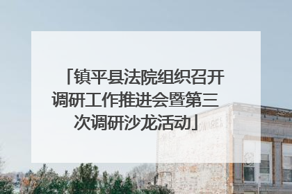 镇平县法院组织召开调研工作推进会暨第三次调研沙龙活动