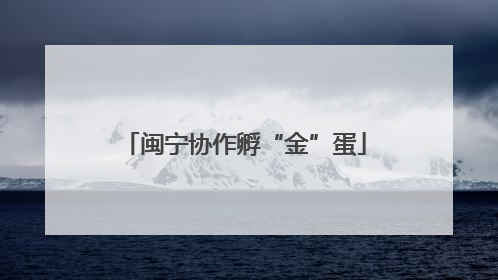 闽宁协作孵“金”蛋