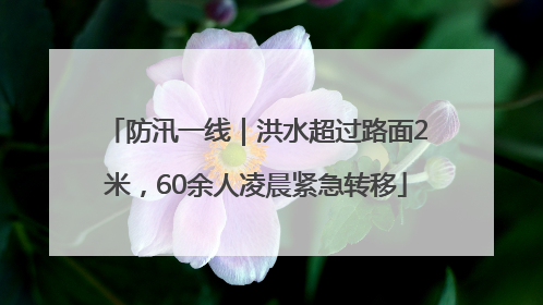 防汛一线｜洪水超过路面2米，60余人凌晨紧急转移