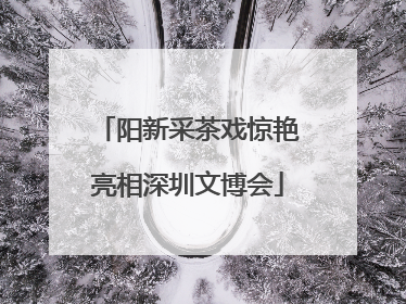 阳新采茶戏惊艳亮相深圳文博会