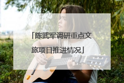 陈武军调研重点文旅项目推进情况