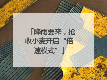 降雨要来，抢收小麦开启“倍速模式”