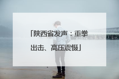 陕西省发声：重拳出击、高压震慑