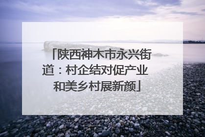 陕西神木市永兴街道：村企结对促产业 和美乡村展新颜