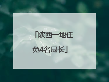 陕西一地任免4名局长