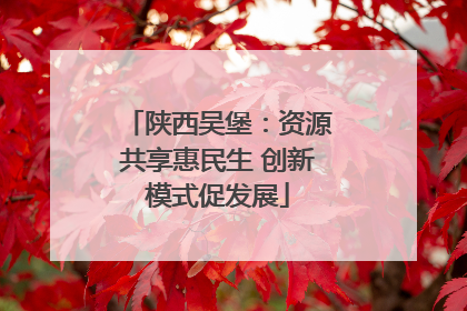 陕西吴堡：资源共享惠民生 创新模式促发展