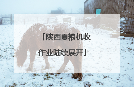 陕西夏粮机收作业陆续展开